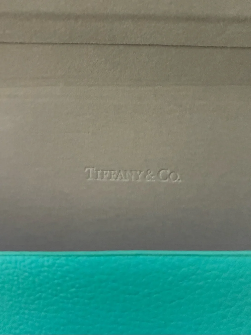Tiffany & Co. Robin's Egg Blue Leather Eyeglass Case
